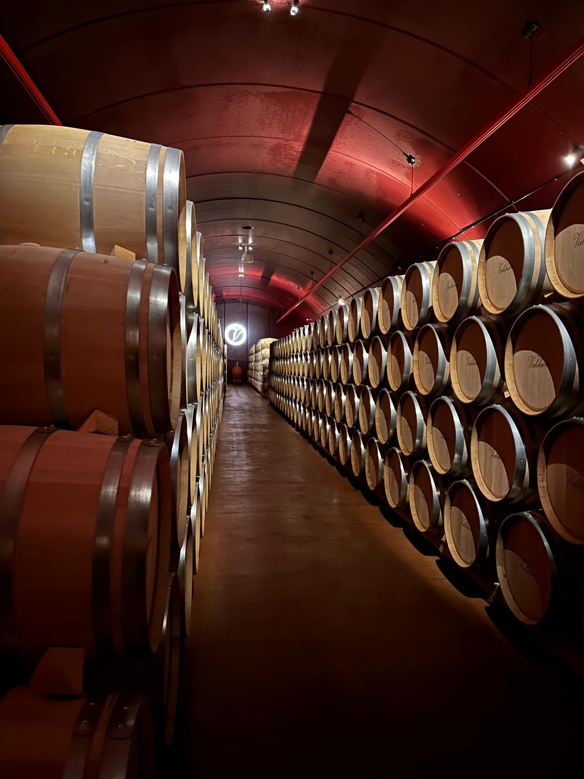 Come conservare correttamente il vino in casa