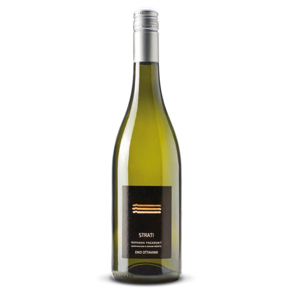 Strati Romagna Pagadebit DOP 2021 75cl 13% vol.